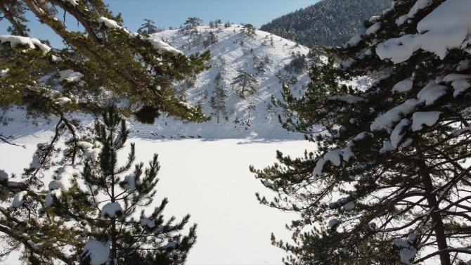 Bolu'daki Sünnet Gölü'nün yüzeyi buz tuttu