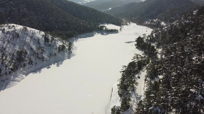 Bolu'daki Sünnet Gölü'nün yüzeyi buz tuttu