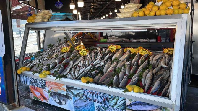 Deniz soğudu, balık bollaştı