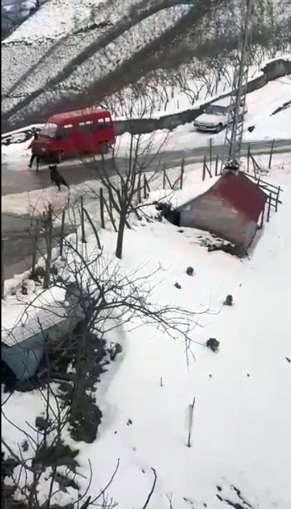 Domuzdan kaçan genç kendini otomobilin üzerine attı