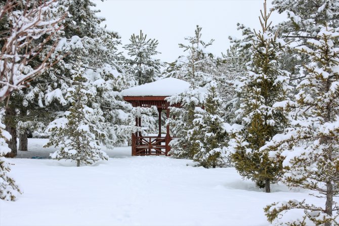 Meram beyaz örtüsüyle görenleri büyülüyor