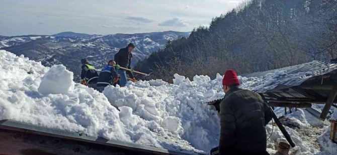 Karın ağırlığına dayanamayan ahırın çatısı çöktü, ekipler hayvanlar için seferber oldu