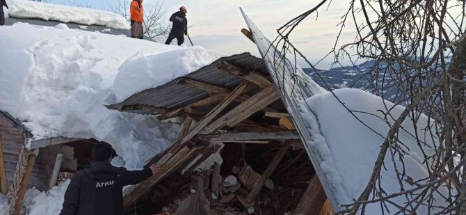 Karın ağırlığına dayanamayan ahırın çatısı çöktü, ekipler hayvanlar için seferber oldu