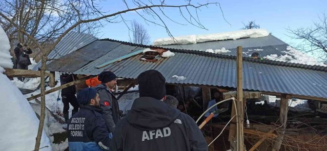 Karın ağırlığına dayanamayan ahırın çatısı çöktü, ekipler hayvanlar için seferber oldu