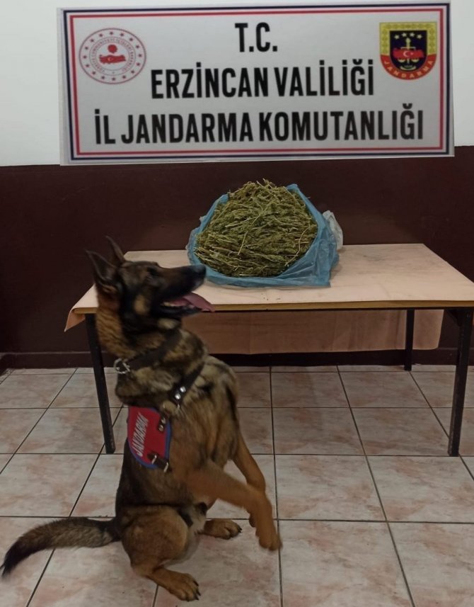 Erzincan’da 2 kilo 848 gram kubar esrar ele geçirildi