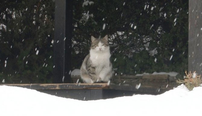 Konya’da karın keyfini çocuklar çıkardı