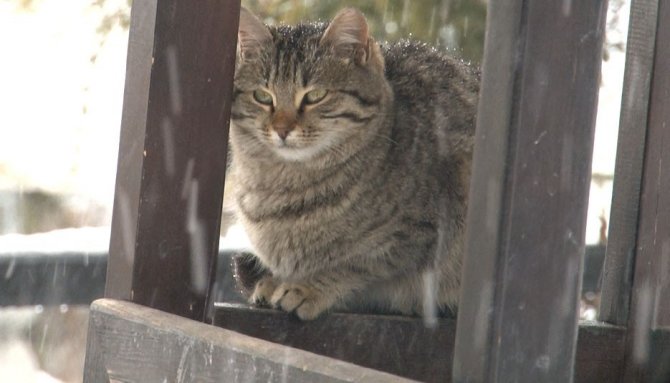 Konya’da karın keyfini çocuklar çıkardı