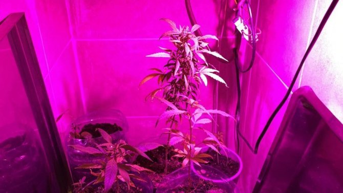 Oteli uyuşturucu imalathanesine çeviren işletmeci tutuklandı