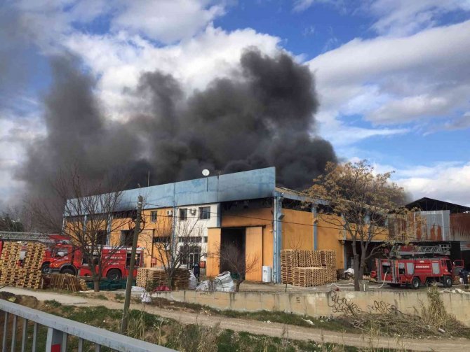 Plastik kasa fabrikasında yangın