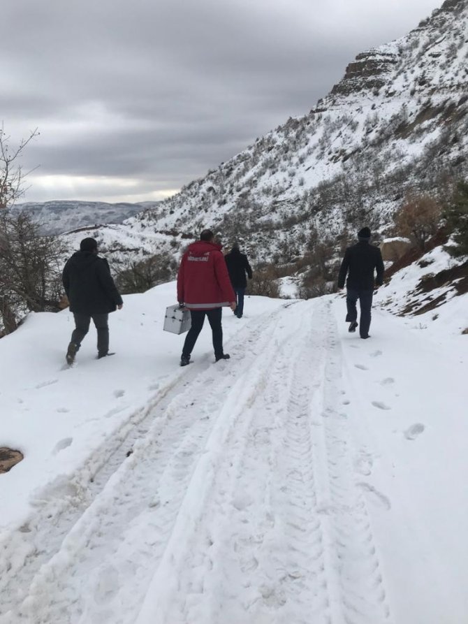 Kurtların saldırısına uğrayan keçiler tedavi altına alındı