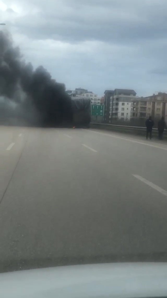 Kütük yüklü kamyon alevlere teslim oldu