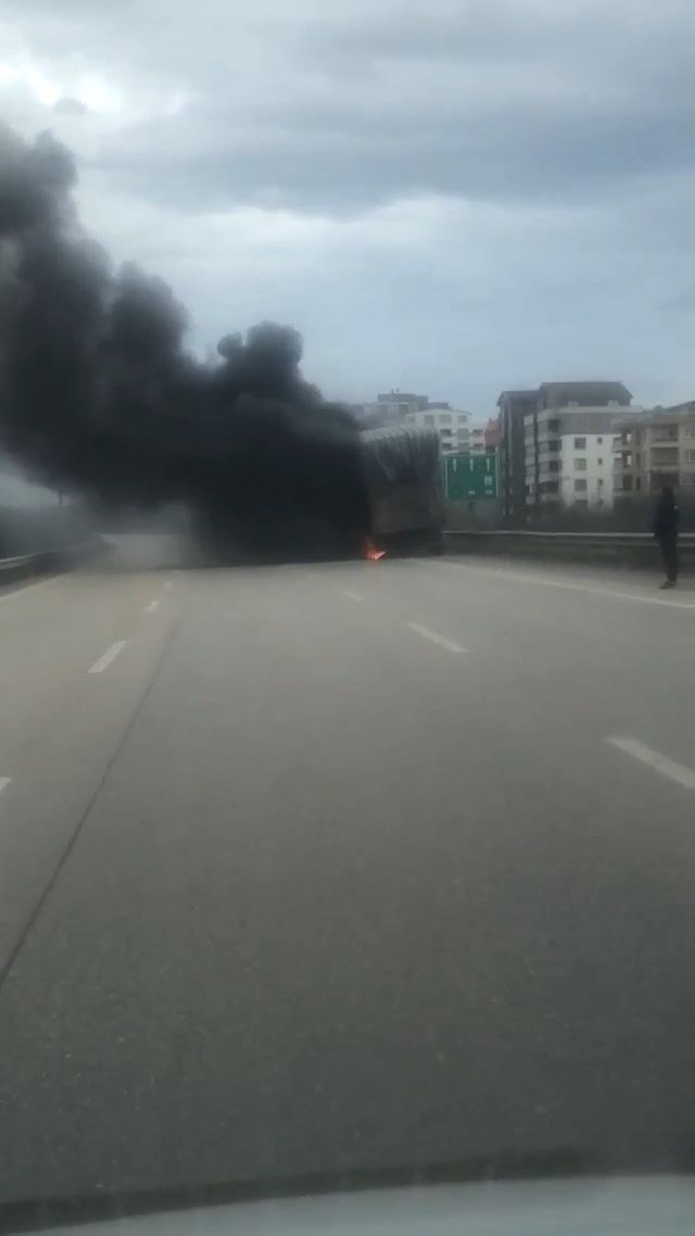 Kütük yüklü kamyon alevlere teslim oldu