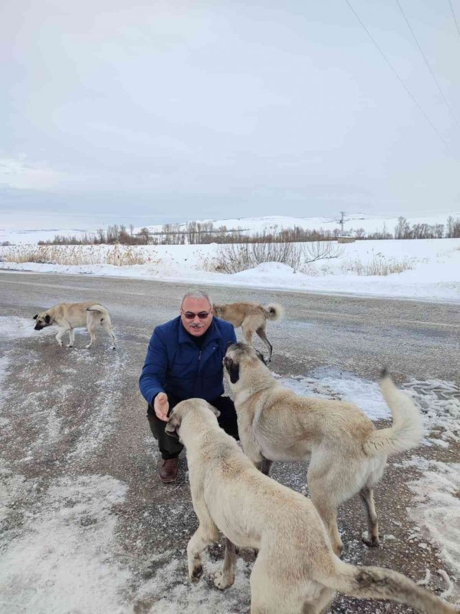 Sokak hayvanlarını elleri ile besliyor