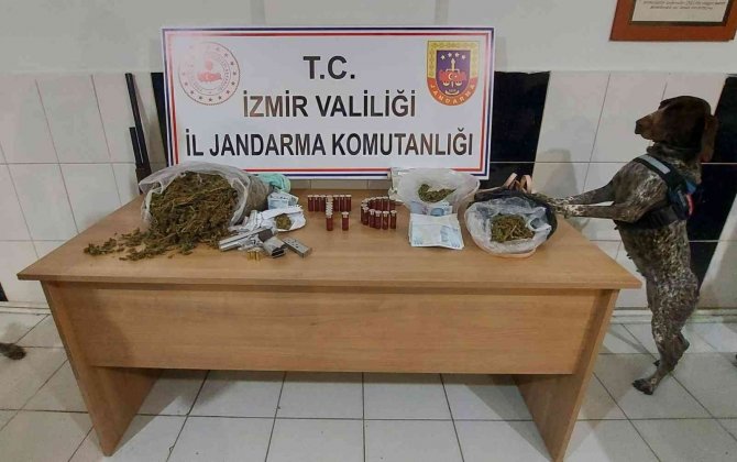 Narkotik dedektör köpekler, uyuşturucuların yerini tek tek buldu