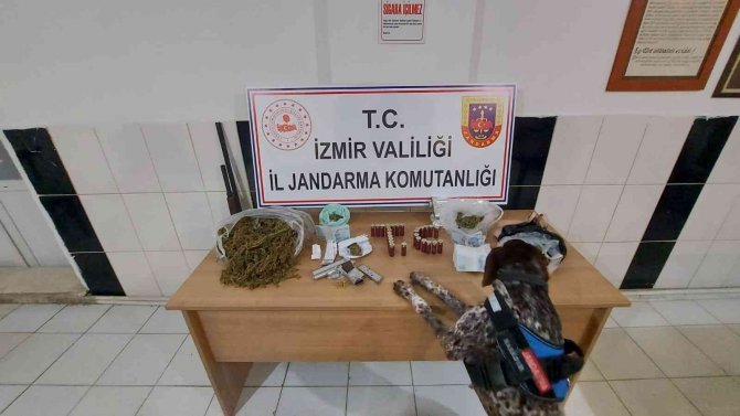 Narkotik dedektör köpekler, uyuşturucuların yerini tek tek buldu