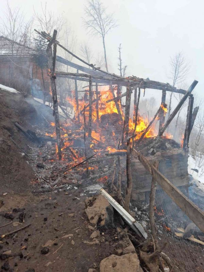 Ordu’da yangın: 2 çocuk hayatını kaybetti