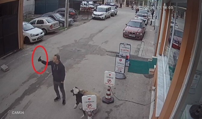 Pitbull köpeğini sokak köpeğine saldırttı, selfie çekti