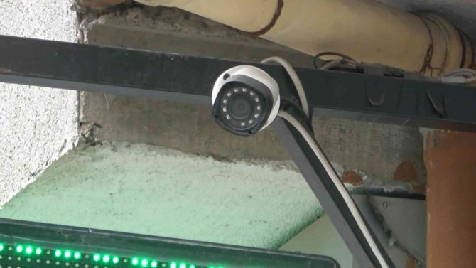 Pitbull köpeğini sokak köpeğine saldırttı, selfie çekti