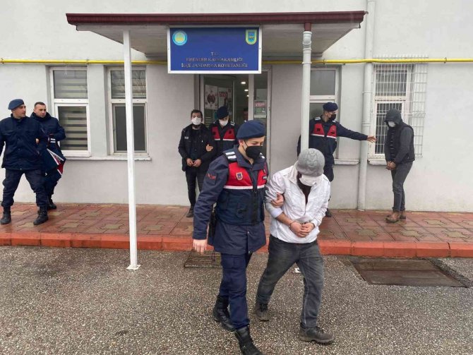 Vinçle konteyner çalarken jandarmaya yakalandı