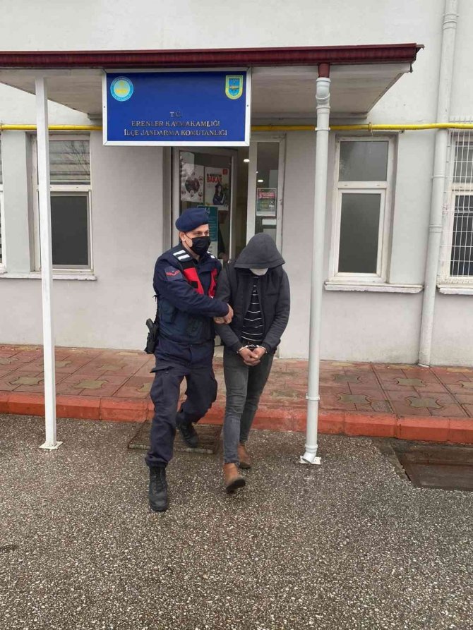 Vinçle konteyner çalarken jandarmaya yakalandı