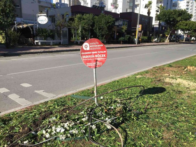 Aracın ağacı biçtiği kazada genç sürücü hayatını kaybetti