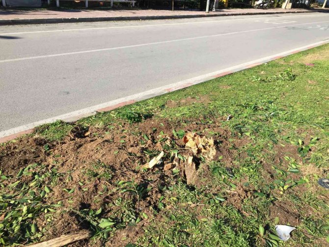 Aracın ağacı biçtiği kazada genç sürücü hayatını kaybetti