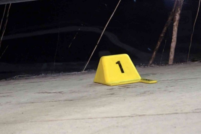 Gümüşhane’de 2 kardeş mermilerin hedefi oldu: 1 ölü, 1 yaralı