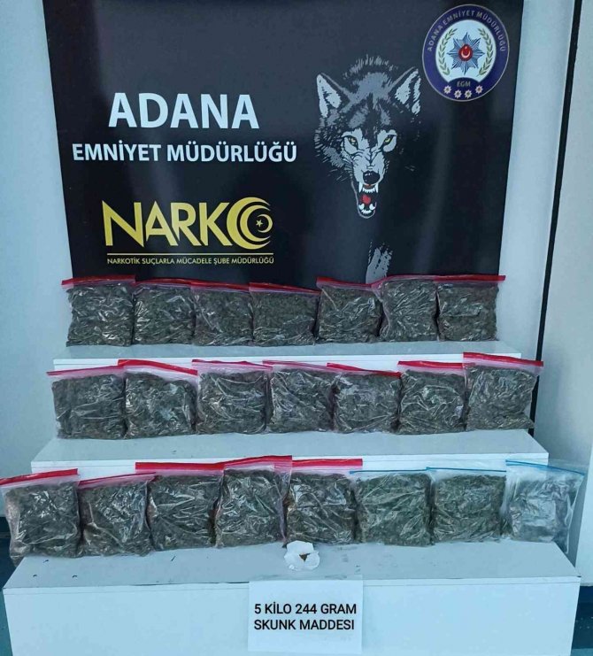 Adana’da 5 kilo 244 gram skunk ele geçirildi