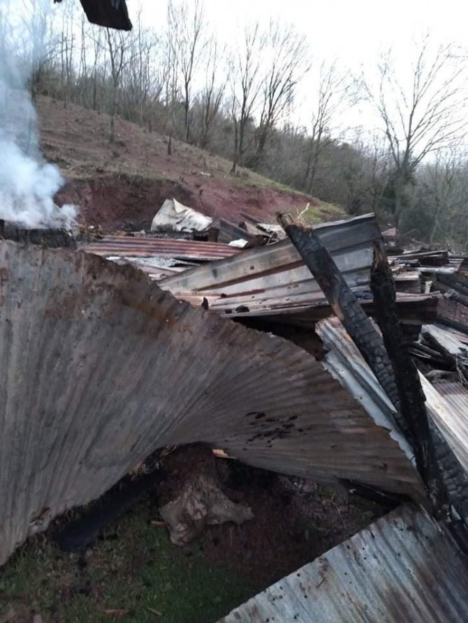 Ahırda korkutan yangın: 11 koyun telef olmaktan kurtarıldı