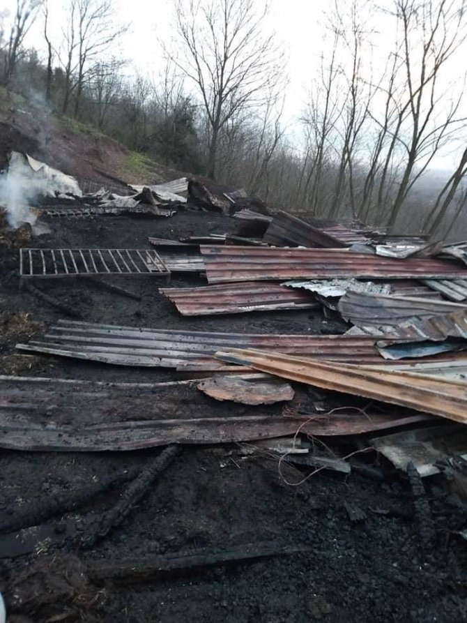 Ahırda korkutan yangın: 11 koyun telef olmaktan kurtarıldı