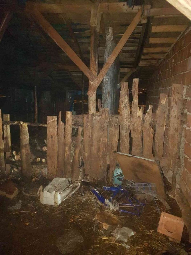 Ahırda korkutan yangın: 11 koyun telef olmaktan kurtarıldı