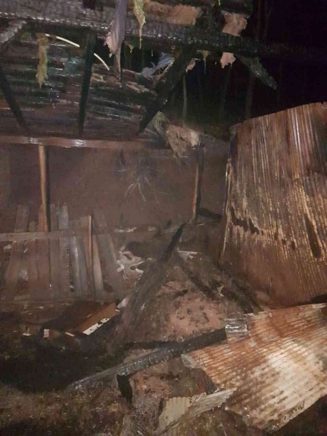 Ahırda korkutan yangın: 11 koyun telef olmaktan kurtarıldı