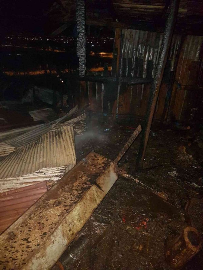 Ahırda korkutan yangın: 11 koyun telef olmaktan kurtarıldı