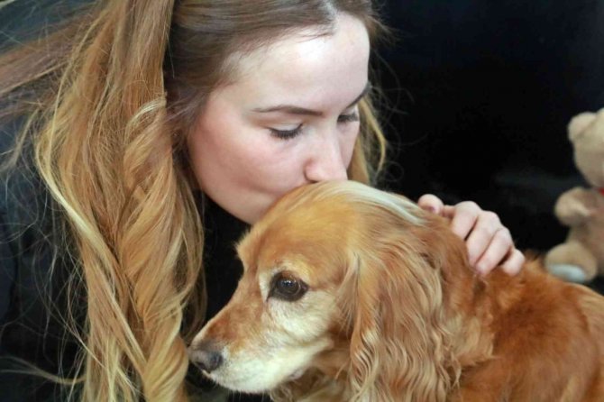 Antalya’da yasaklı cins sokak köpeği dehşeti yaşattı