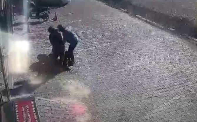 Antalya’da yasaklı cins sokak köpeği dehşeti yaşattı