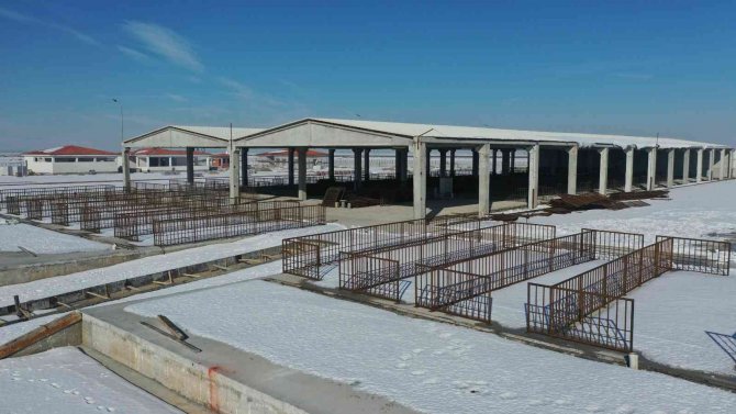 Türkiye’nin en büyük hayvan pazarlarından birini yapıyoruz