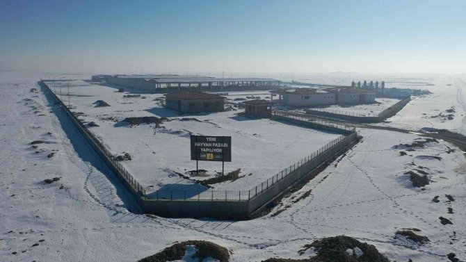 Türkiye’nin en büyük hayvan pazarlarından birini yapıyoruz