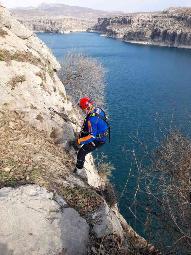 AFAD ekipleri mahsur kalan keçileri kurtardı