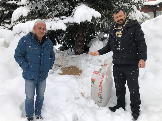 Seydişehir'de kuşlar için doğaya yem bırakıldı