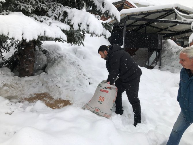 Seydişehir'de kuşlar için doğaya yem bırakıldı