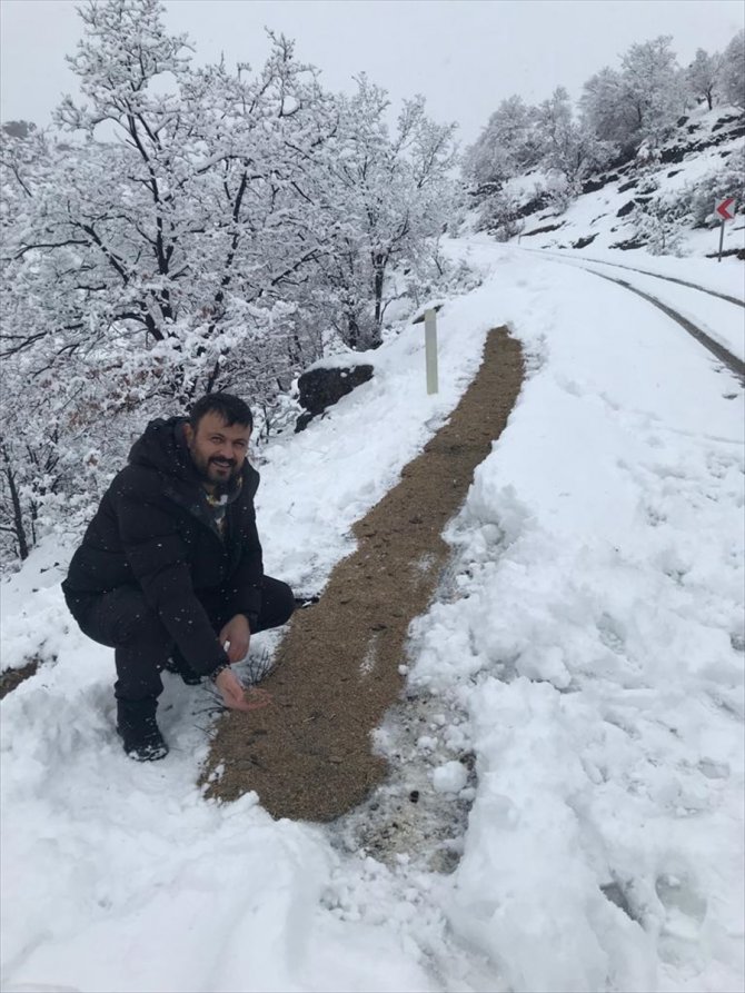 Seydişehir'de kuşlar için doğaya yem bırakıldı