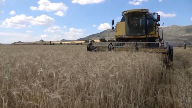 Başvuran alıyor, çiftçilere yüzde 50 hibeli tarım desteği