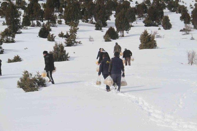 Konya’da ağır kış şartlarında doğadaki hayvanlar unutulmadı