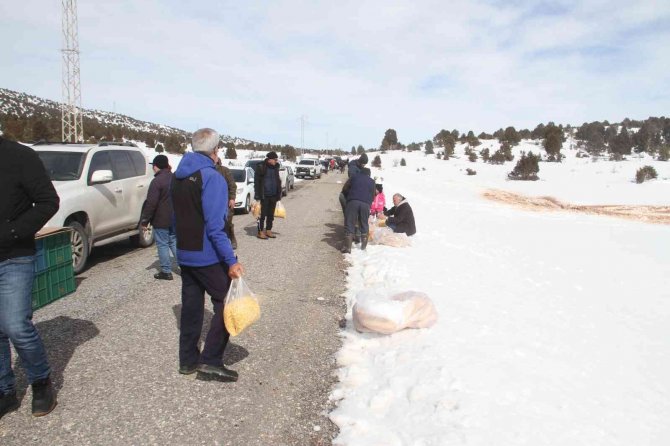 Konya’da ağır kış şartlarında doğadaki hayvanlar unutulmadı