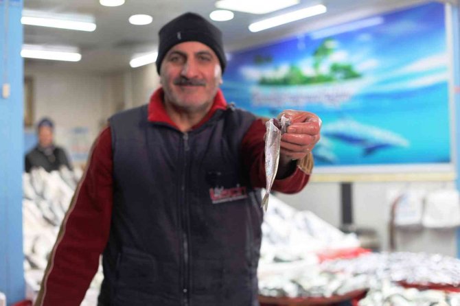 Konya'da hamsi fiyatları düşecek! Balıkçılardan açıklama