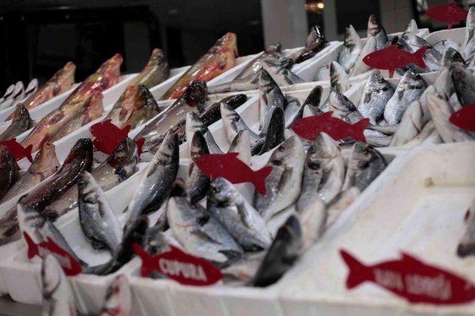 Konya'da hamsi fiyatları düşecek! Balıkçılardan açıklama