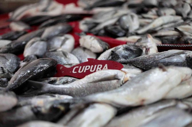 Konya'da hamsi fiyatları düşecek! Balıkçılardan açıklama