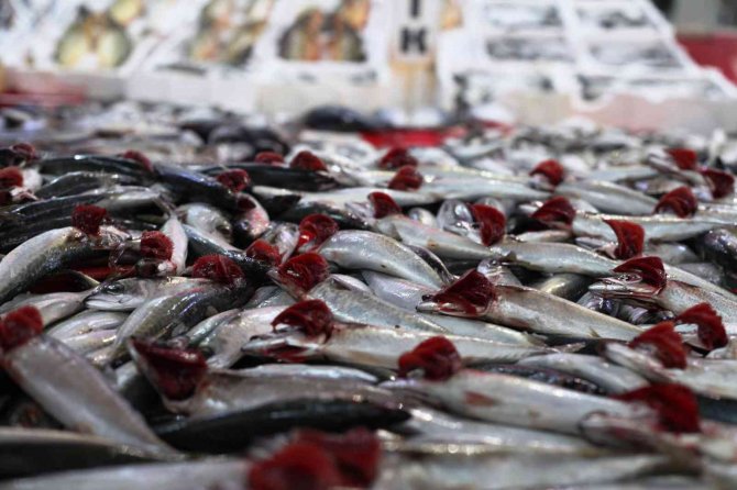 Konya'da hamsi fiyatları düşecek! Balıkçılardan açıklama