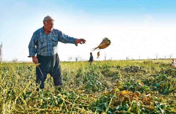 Konya’da pancar çiftçisine milyarlık ödeme