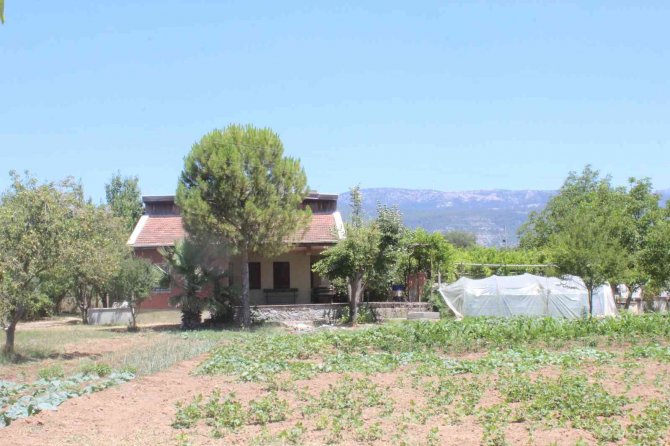 Pınar Gültekin cinayeti davasında karar ertelendi